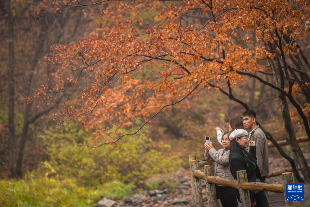 深山覓秋意